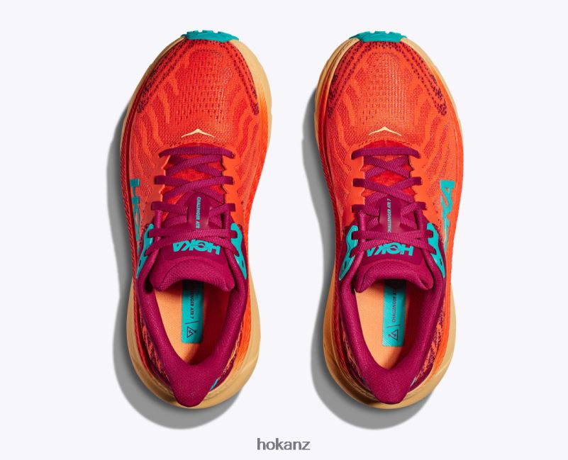 Hoka Men Challenger 7 482TD568 Stone Blue/Evening Primrose