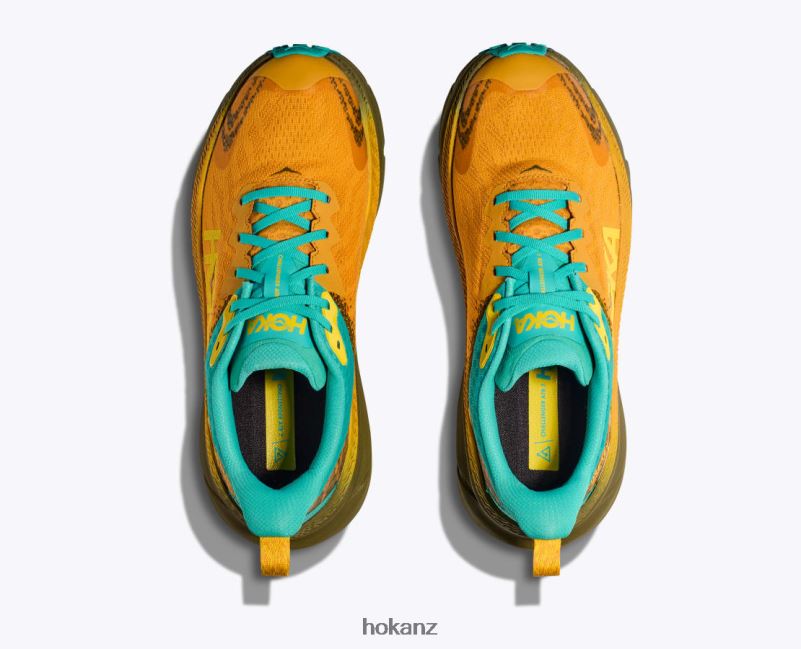 Hoka Men Challenger 7 GTX 482TD482 Golden Yellow/Avocado
