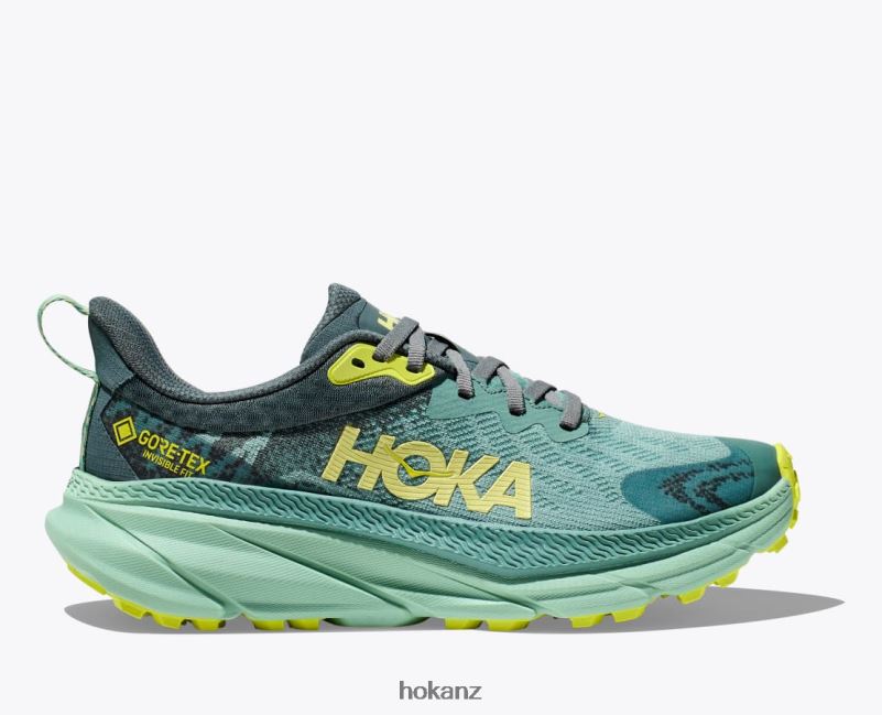 Hoka Women Challenger 7 GTX 482TD94 Trellis/Balsam Green