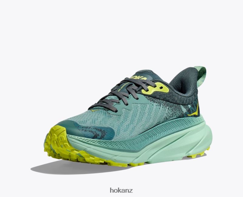 Hoka Women Challenger 7 GTX 482TD94 Trellis/Balsam Green