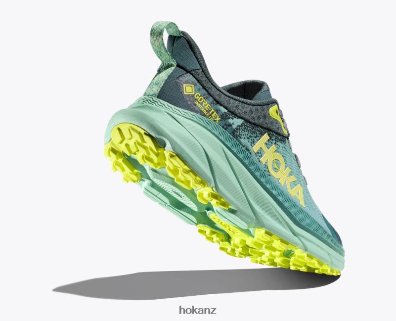 Hoka Women Challenger 7 GTX 482TD94 Trellis/Balsam Green