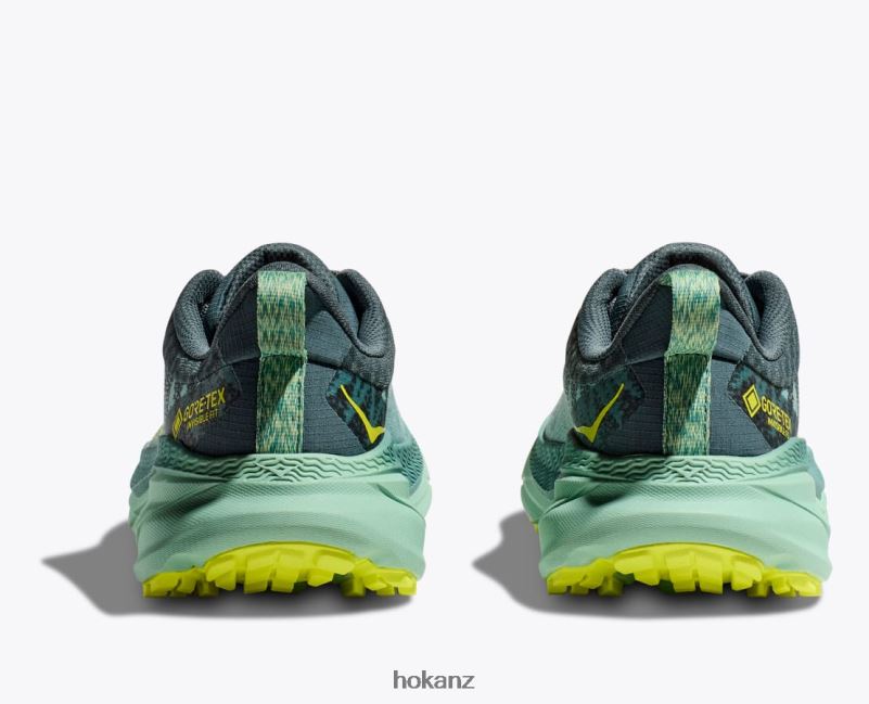 Hoka Women Challenger 7 GTX 482TD94 Trellis/Balsam Green