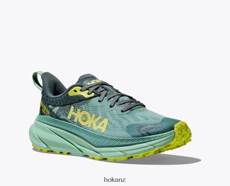 Hoka Women Challenger 7 GTX 482TD94 Trellis/Balsam Green